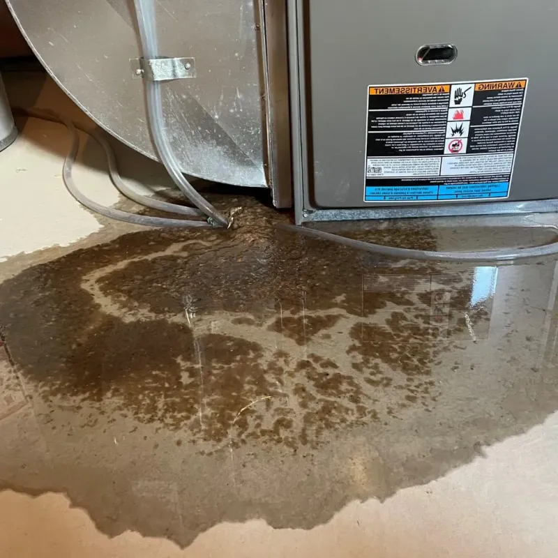 Pipe Burst and Leak Restoration in Oliver, PA
