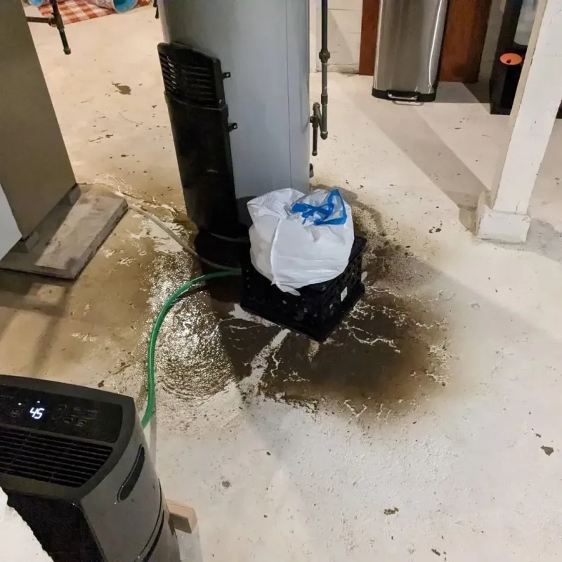 Sewage Backup Cleanup Service in Oliver, PA